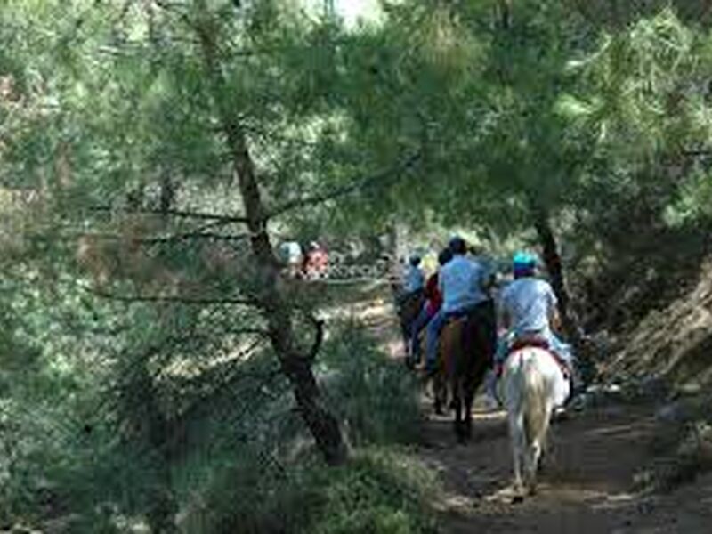 Fethiye At Turu ( Ovacık )