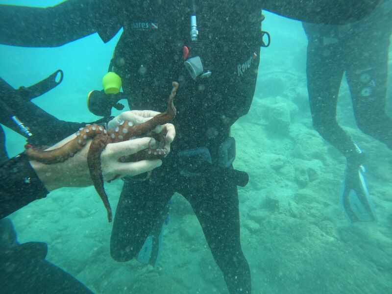 Fethiye Tüplü Dalış Turu