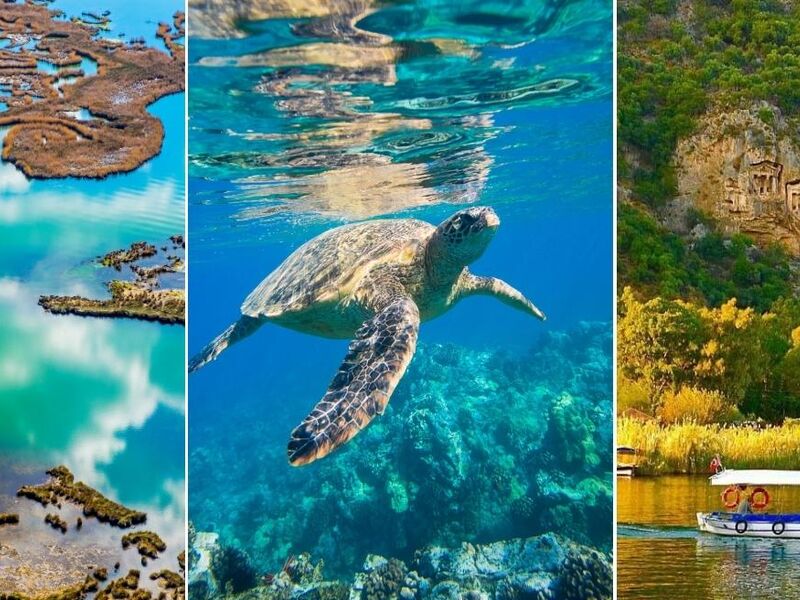 Fethiye Dalyan Turu Promo