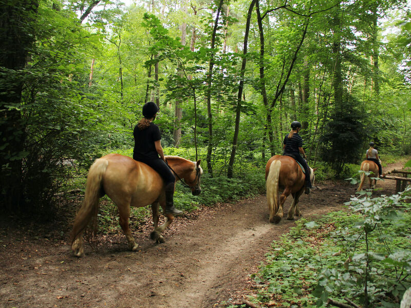 12–19 Ekim 2025 • Her Şey Dâhil Fethiye Tatili + İsteğe Bağlı Rodos Konaklamalı