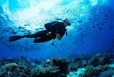 Fethiye Scuba Diving All Day Include Lunch